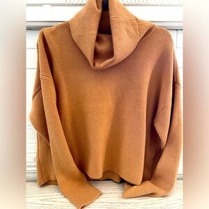 NEVER WORN Lumiere brand (purchased through VICI) cowl neck sweater